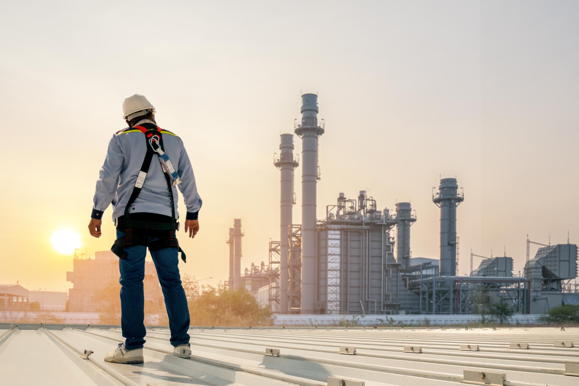 Petróleo y Derivados